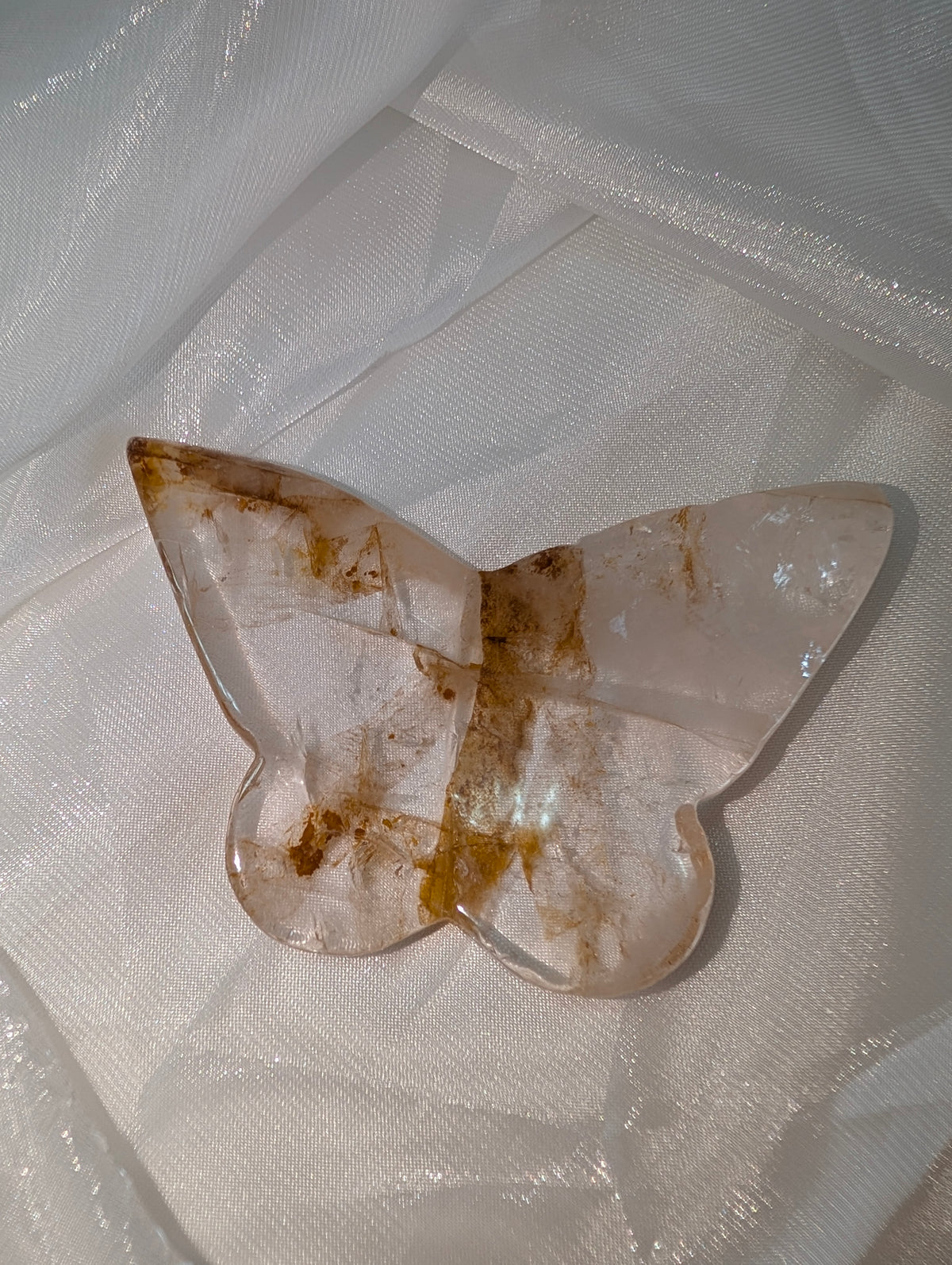 Golden Healer Butterfly