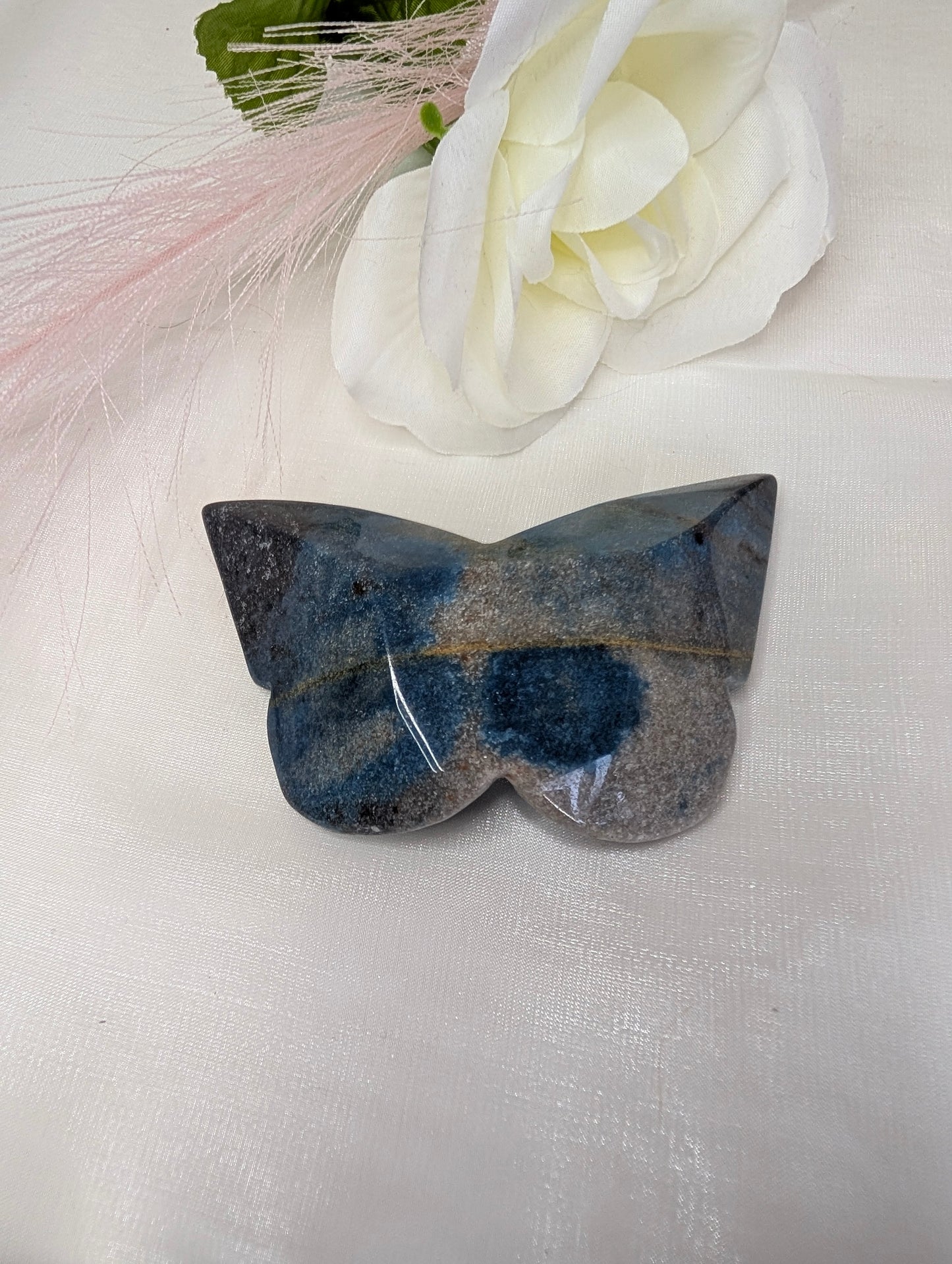 3D Troilite Butterfly