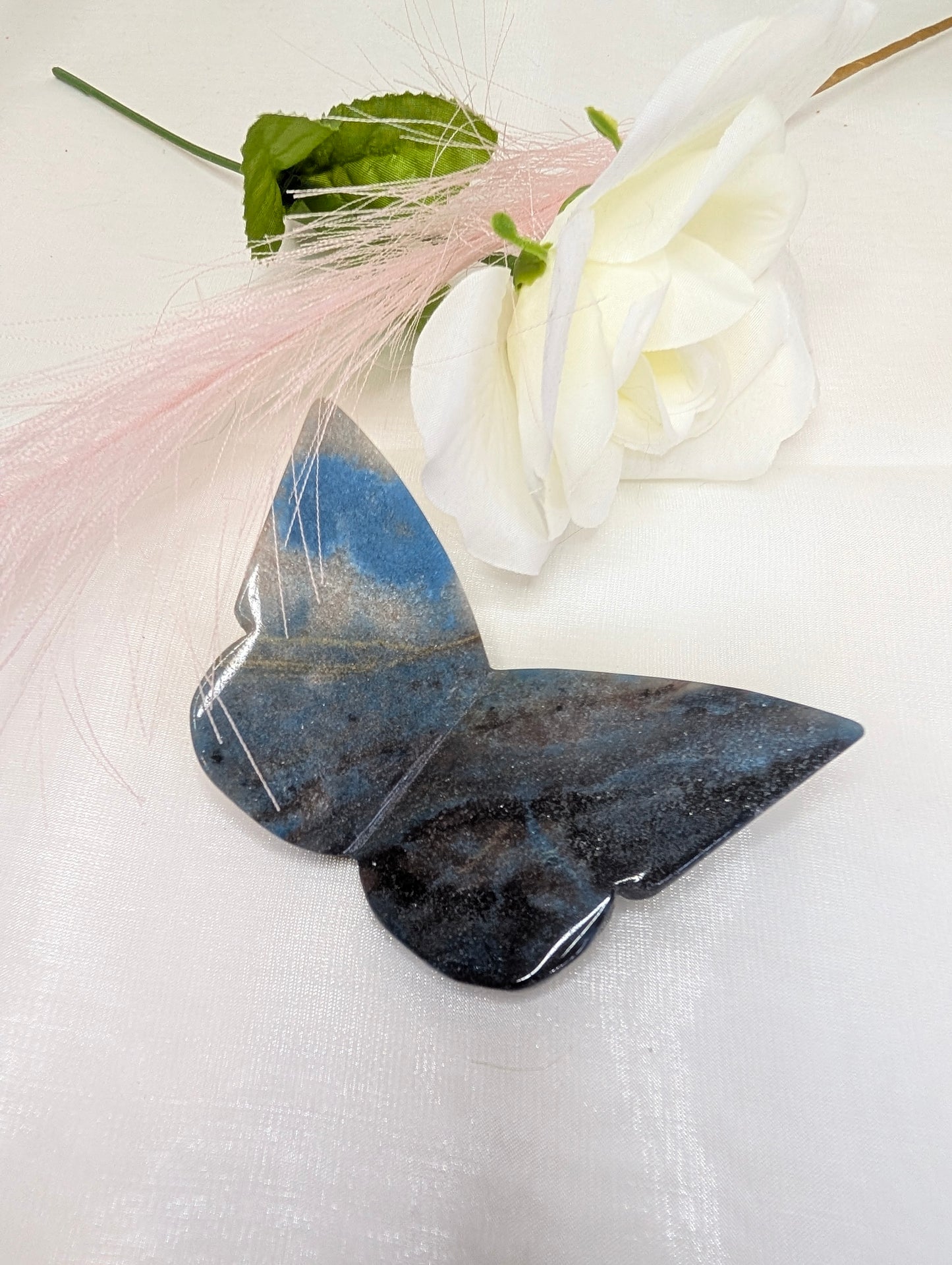 3D Troilite Butterfly