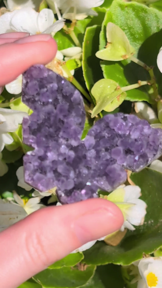 Butterfly Amethyst #2