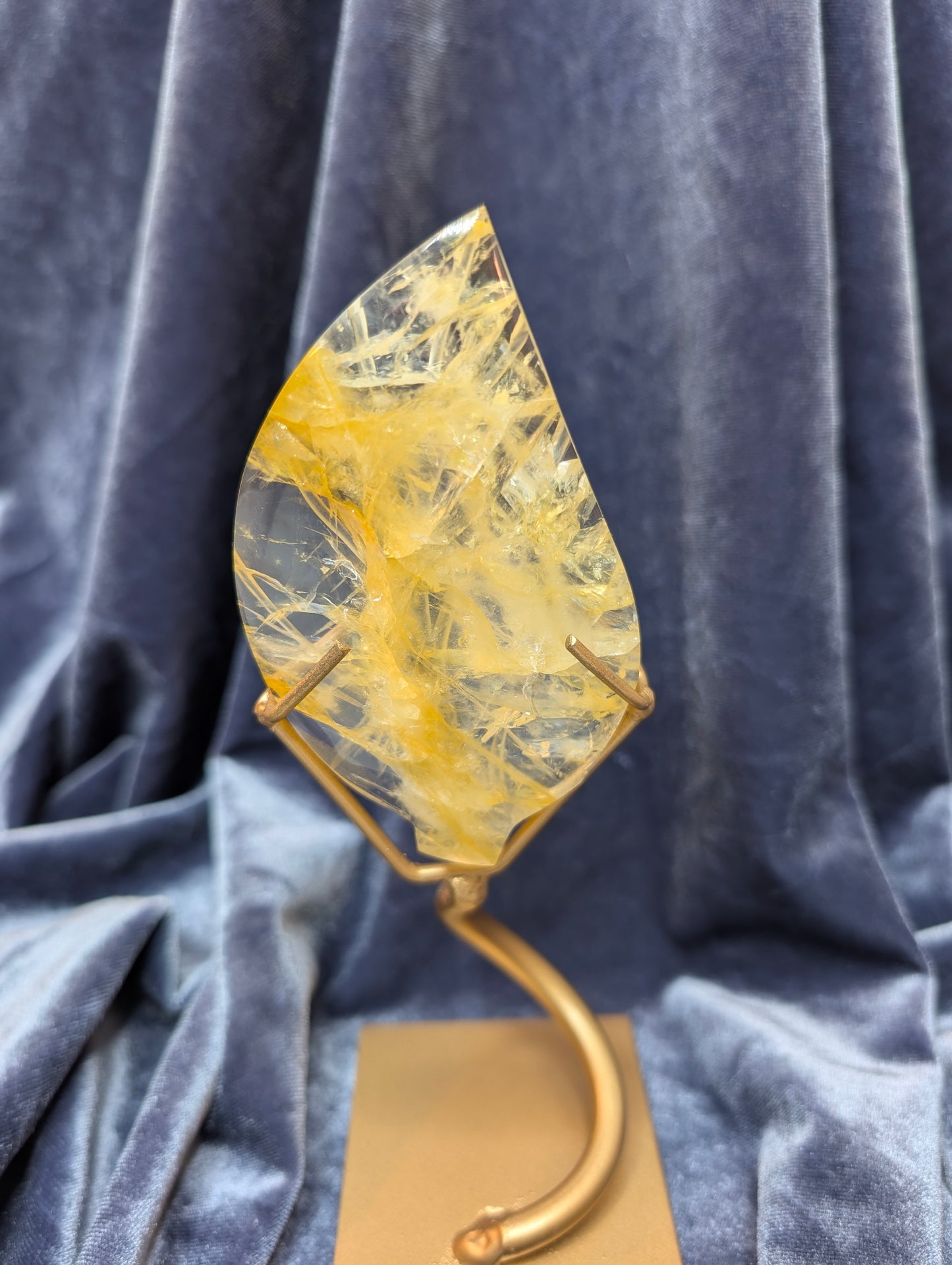 Golden Healer Leaf on Stand