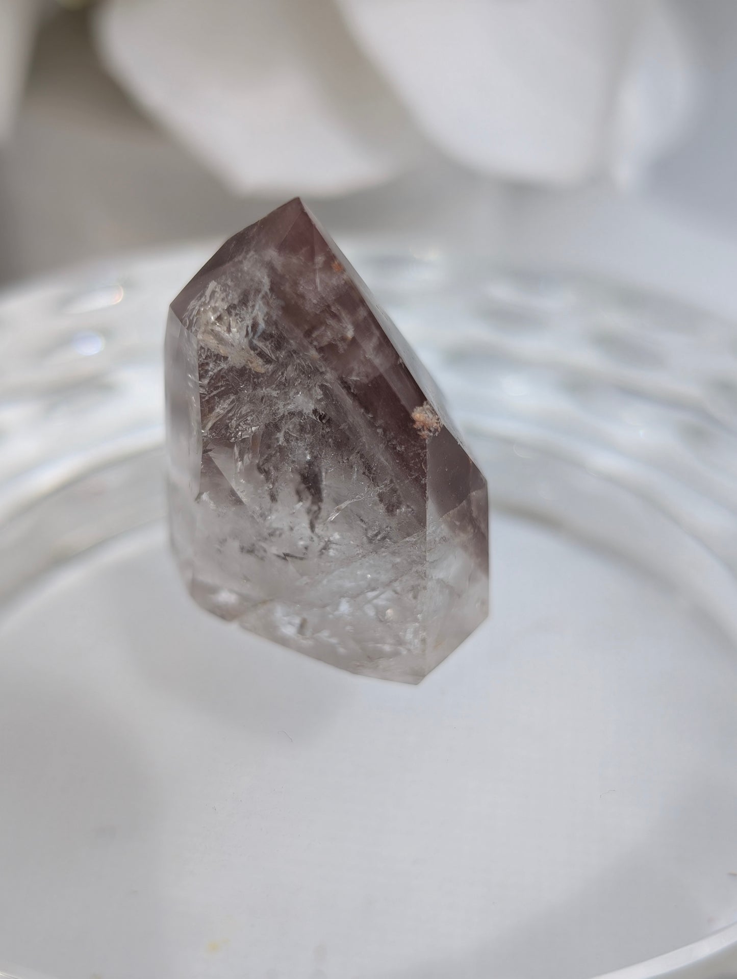 Berry Pink Lithium #5