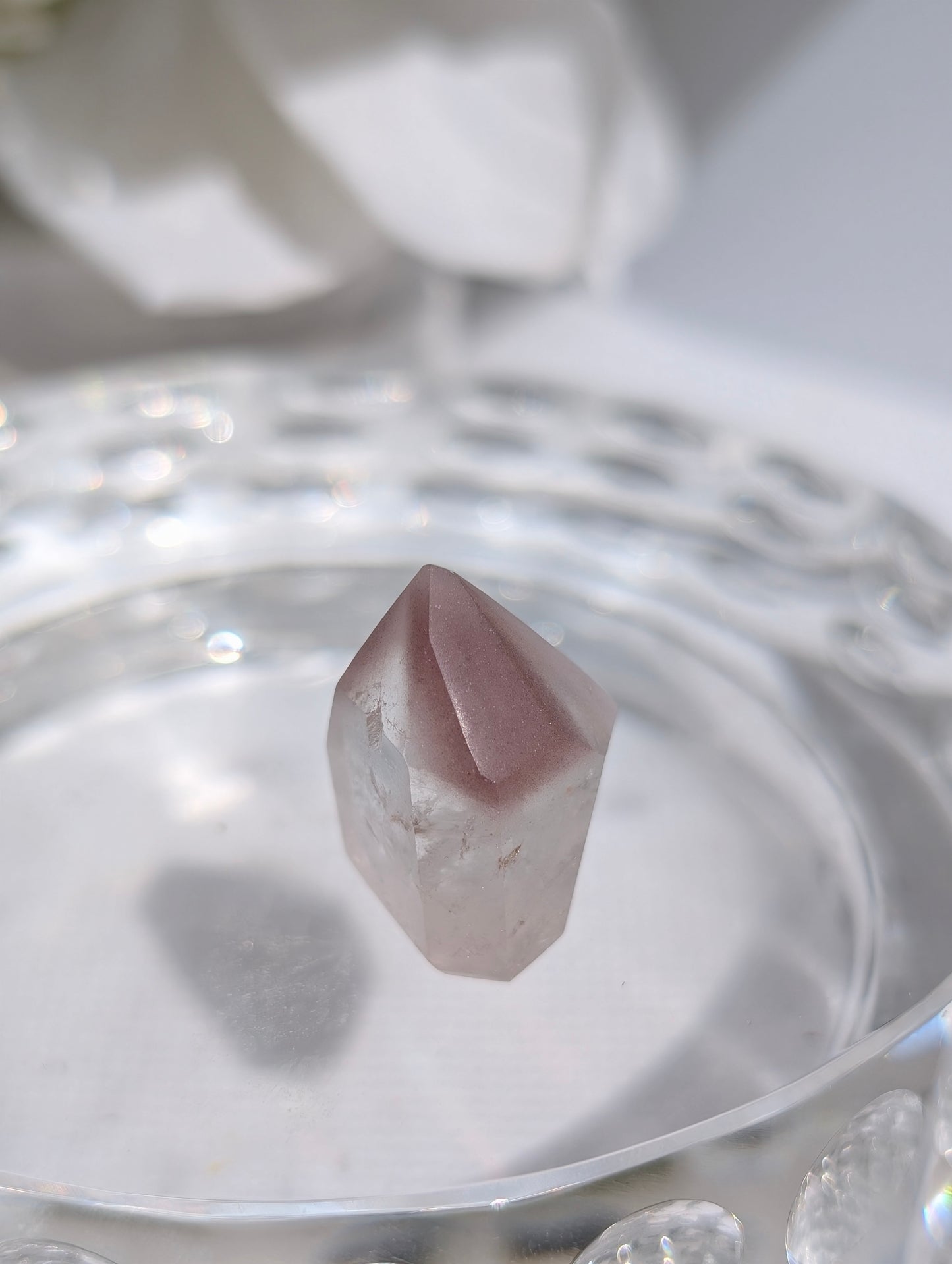 Berry Pink Lithium #11