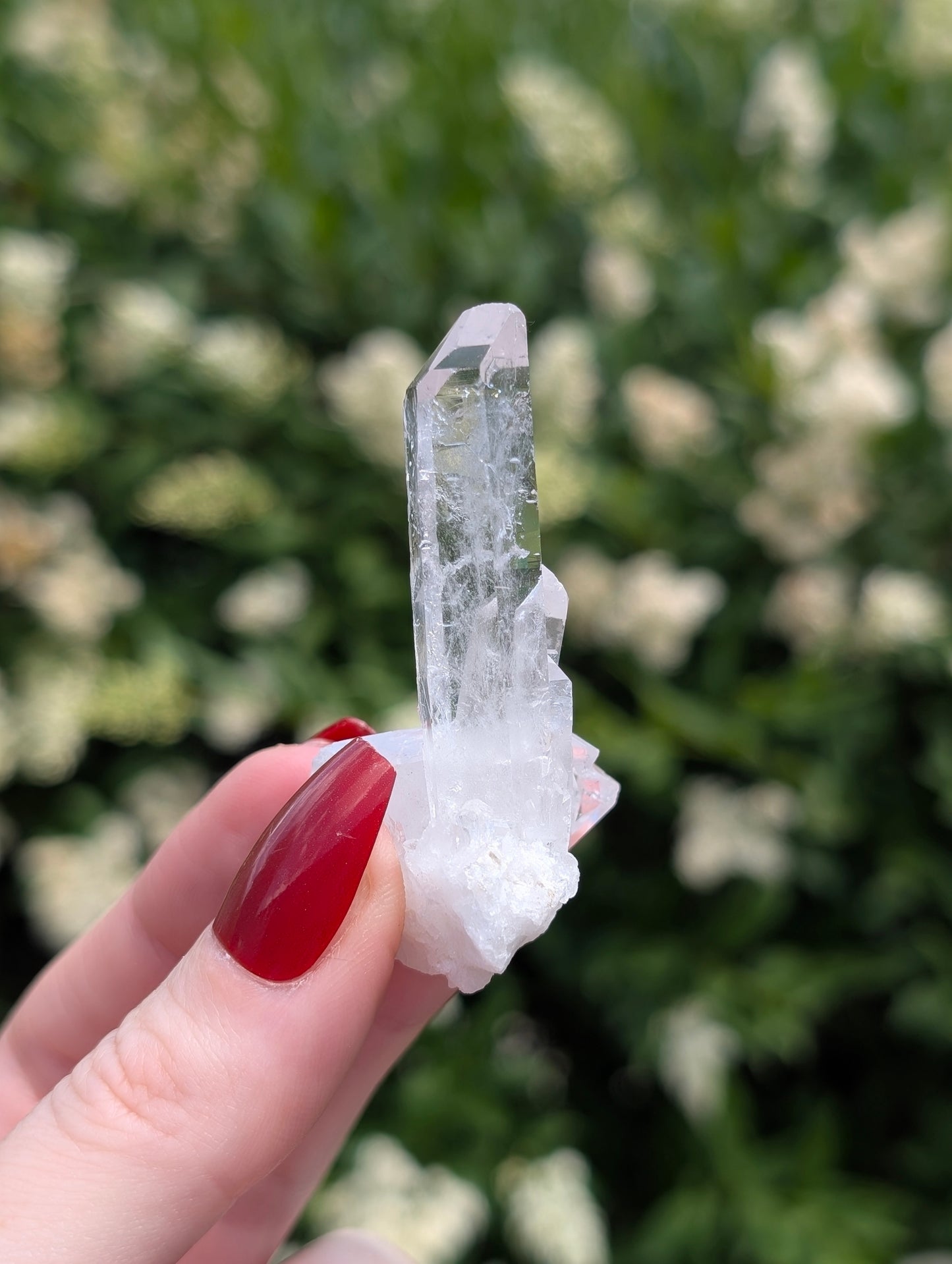 AAA Clear Quartz Cluster #2
