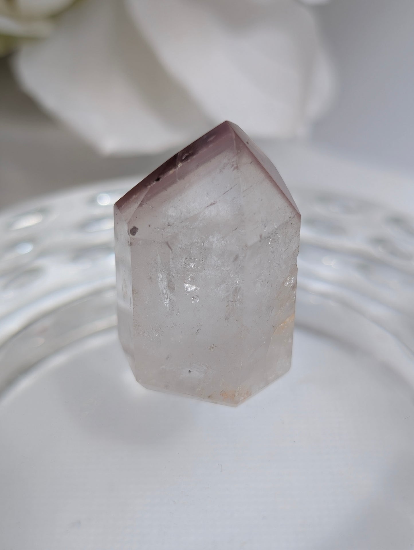 *Berry Pink Lithium #6
