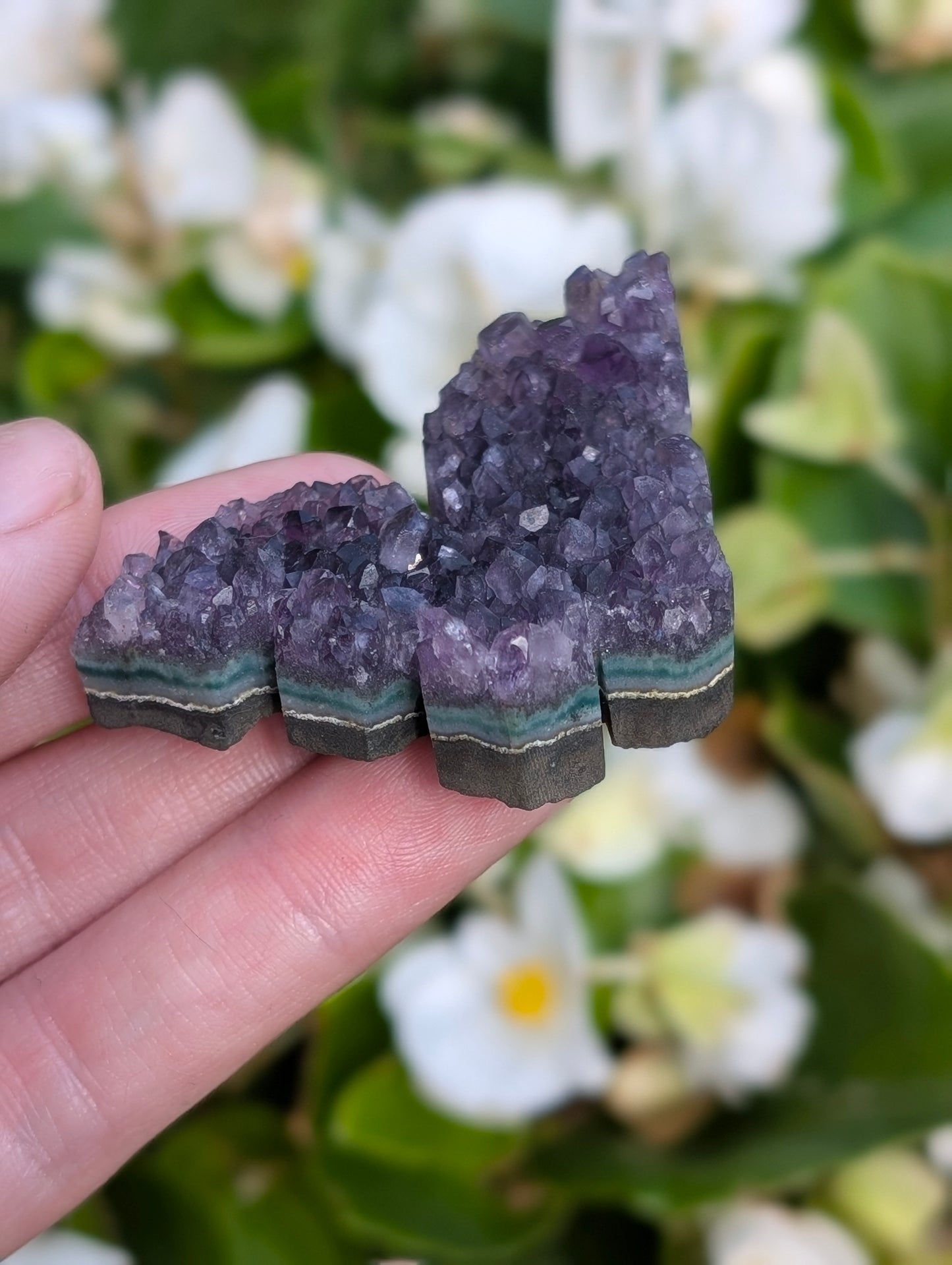 Butterfly Amethyst #1