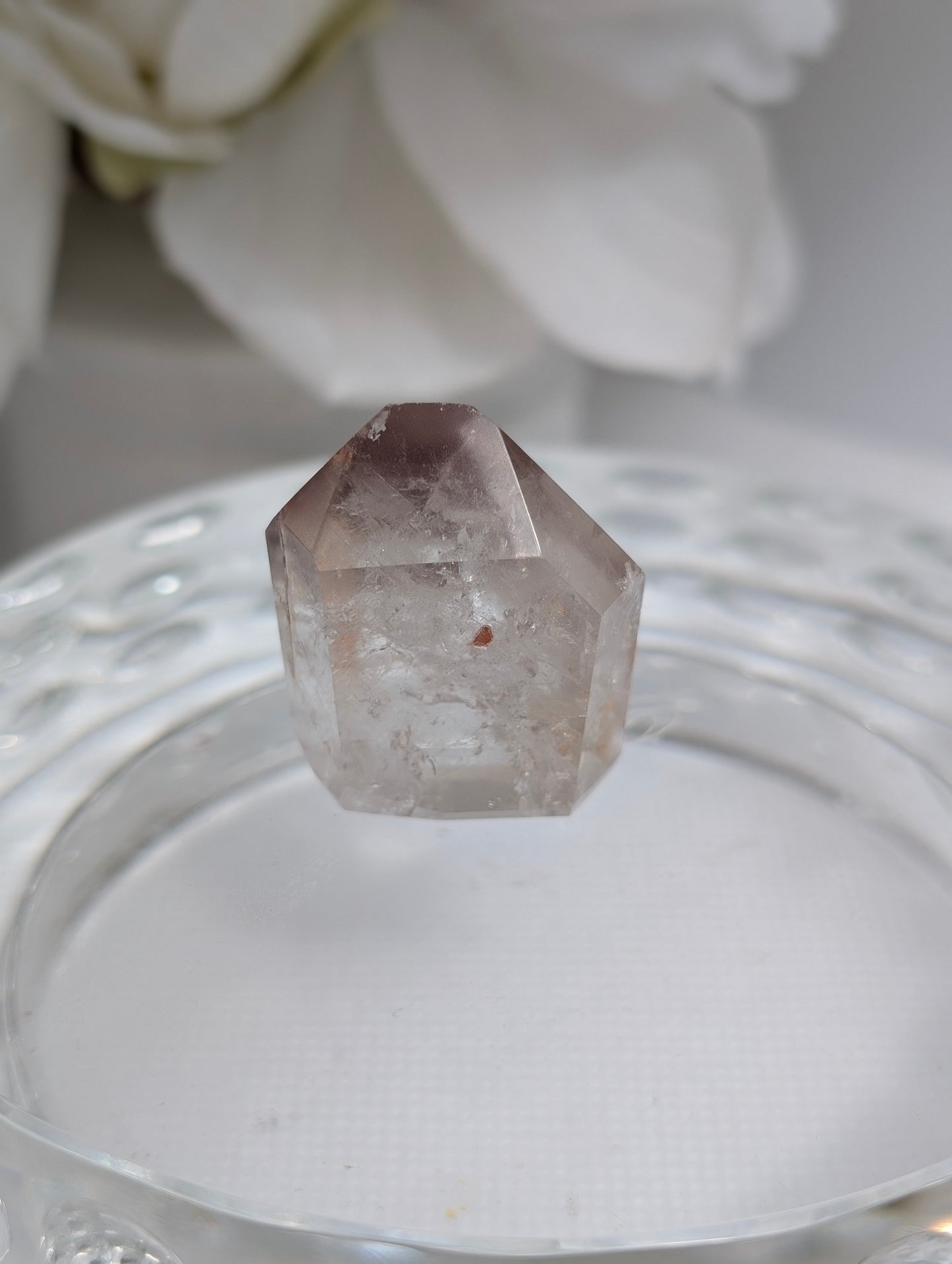 Pink Lithium #8