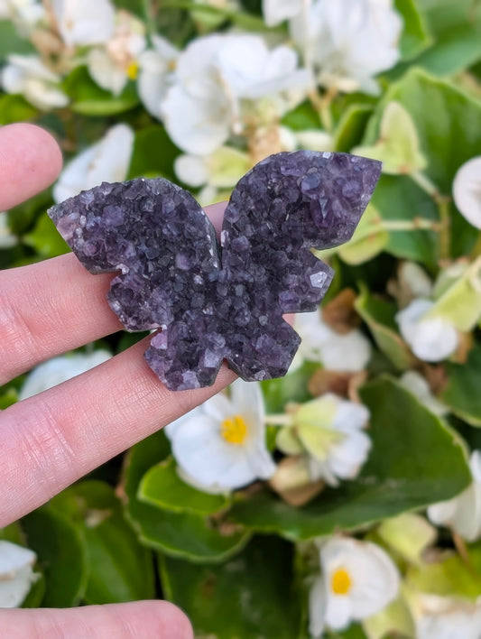Butterfly Amethyst #1