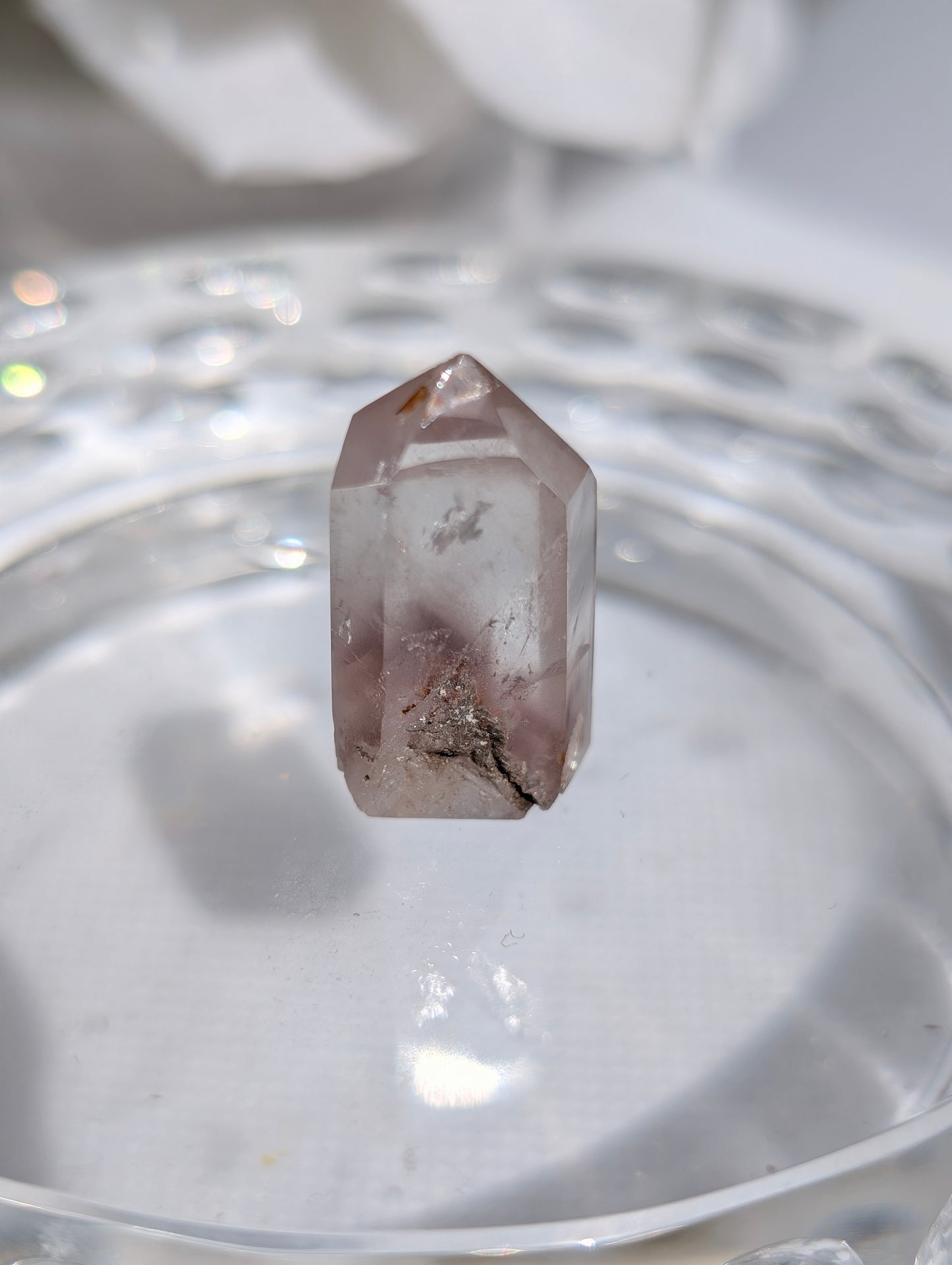 Berry Pink Lithium #3