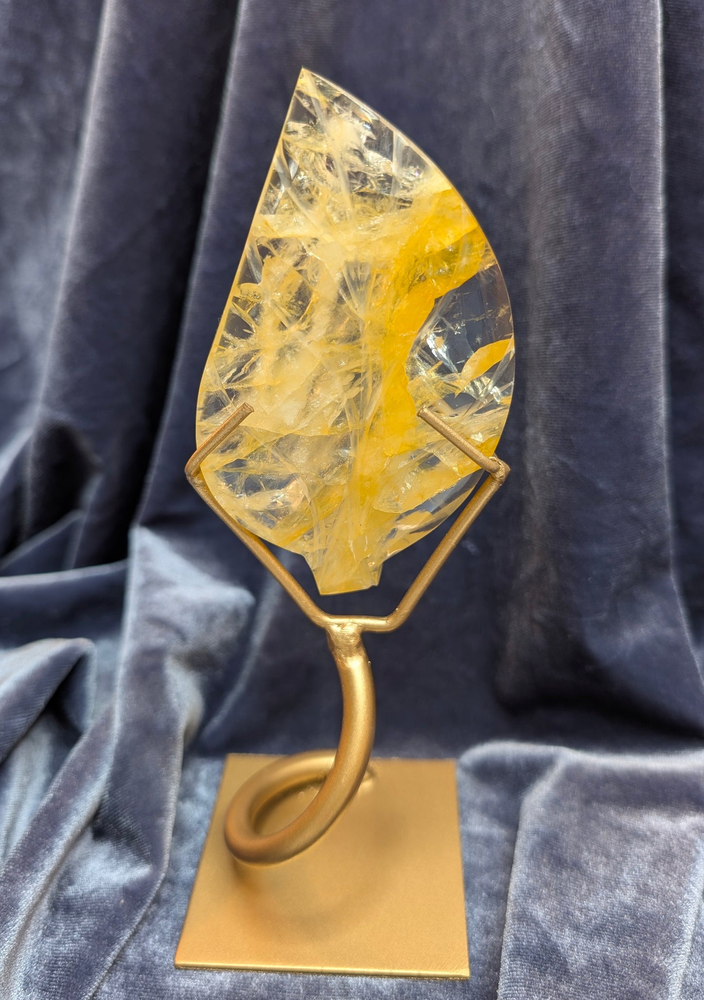 Golden Healer Leaf on Stand