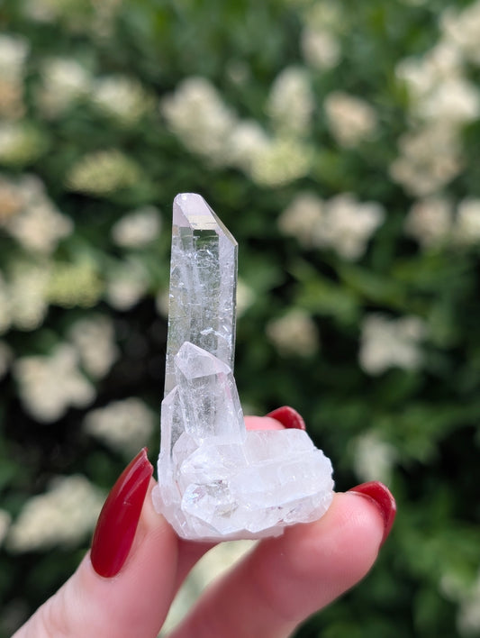 AAA Clear Quartz Cluster #2
