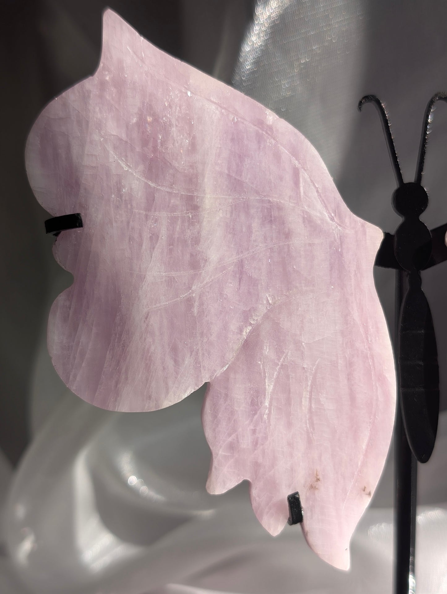 Kunzite Statement Butterfly
