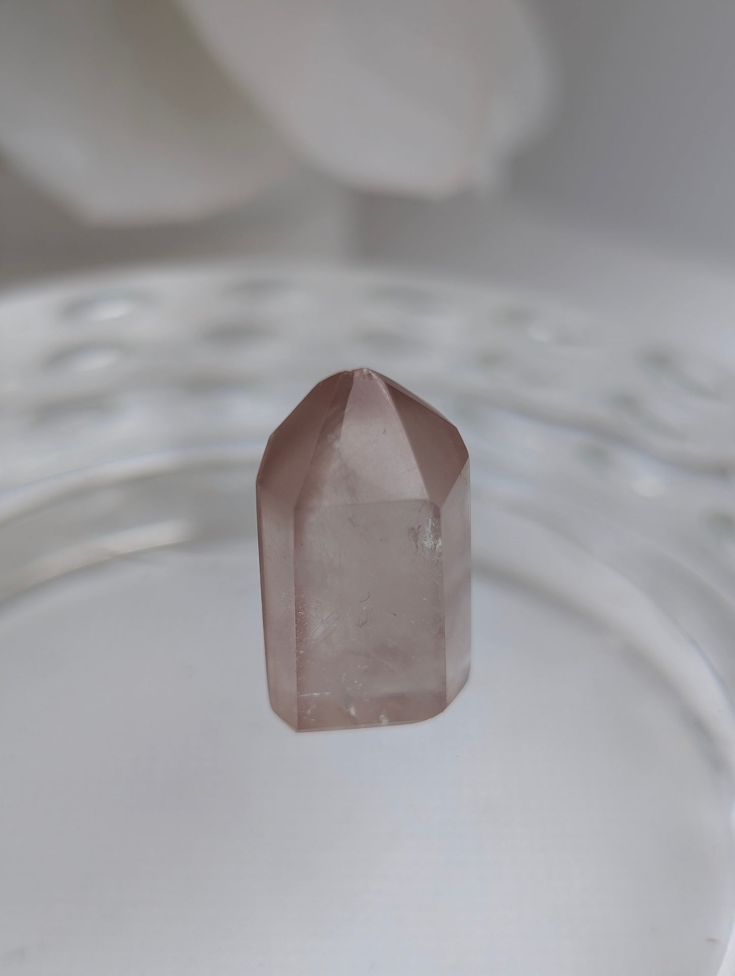 Berry Pink Lithium #10