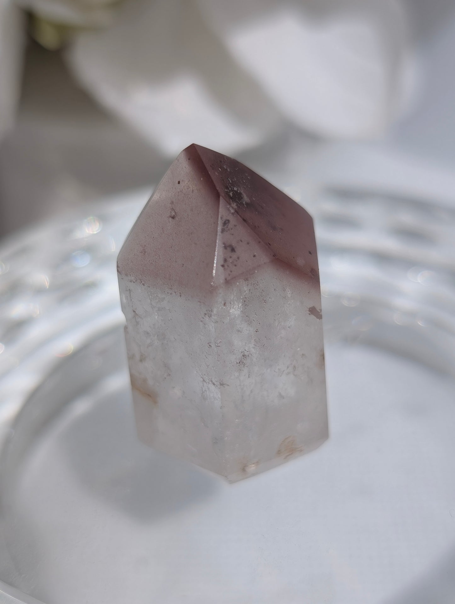 *Berry Pink Lithium #6