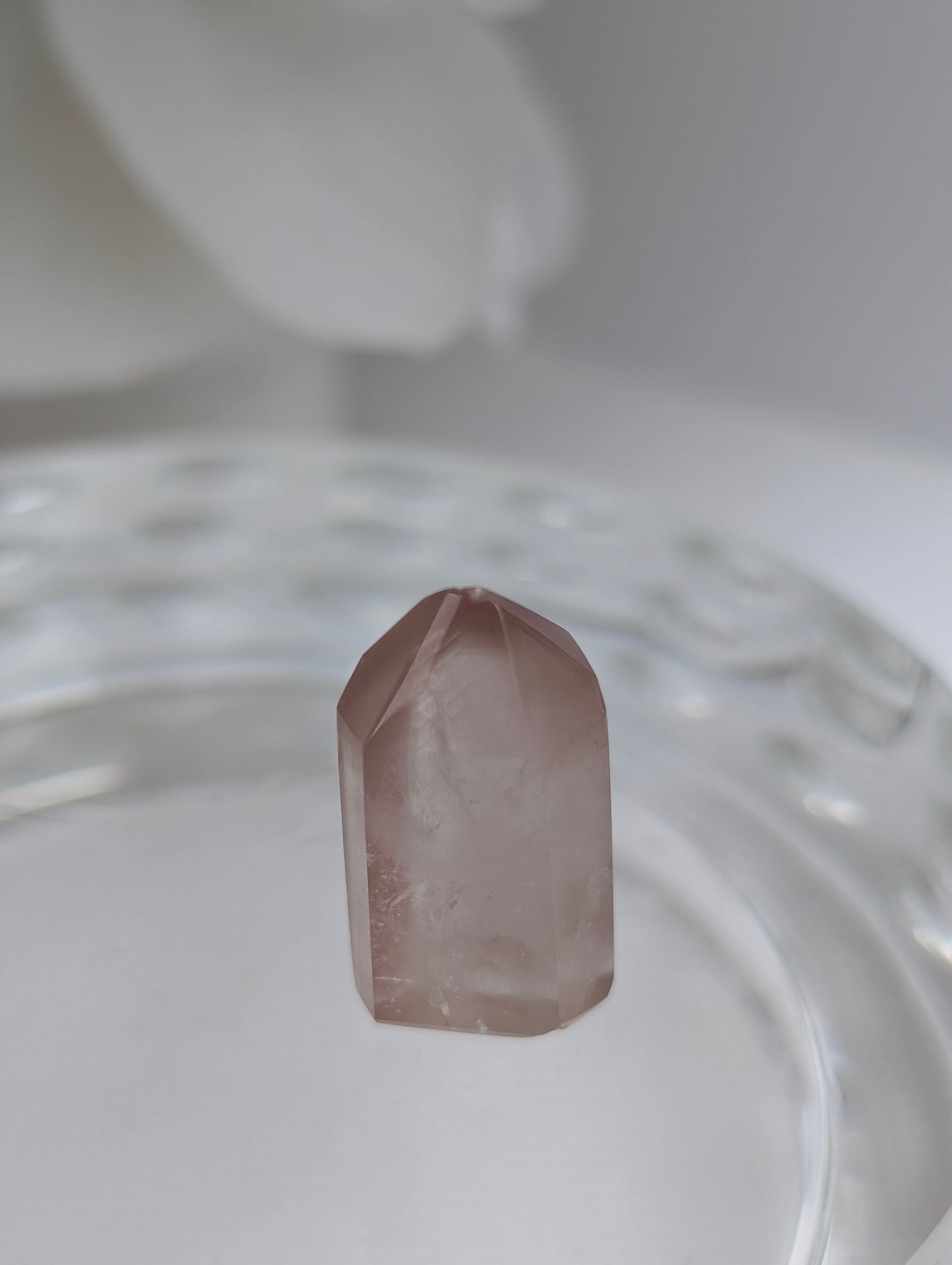 Berry Pink Lithium #10