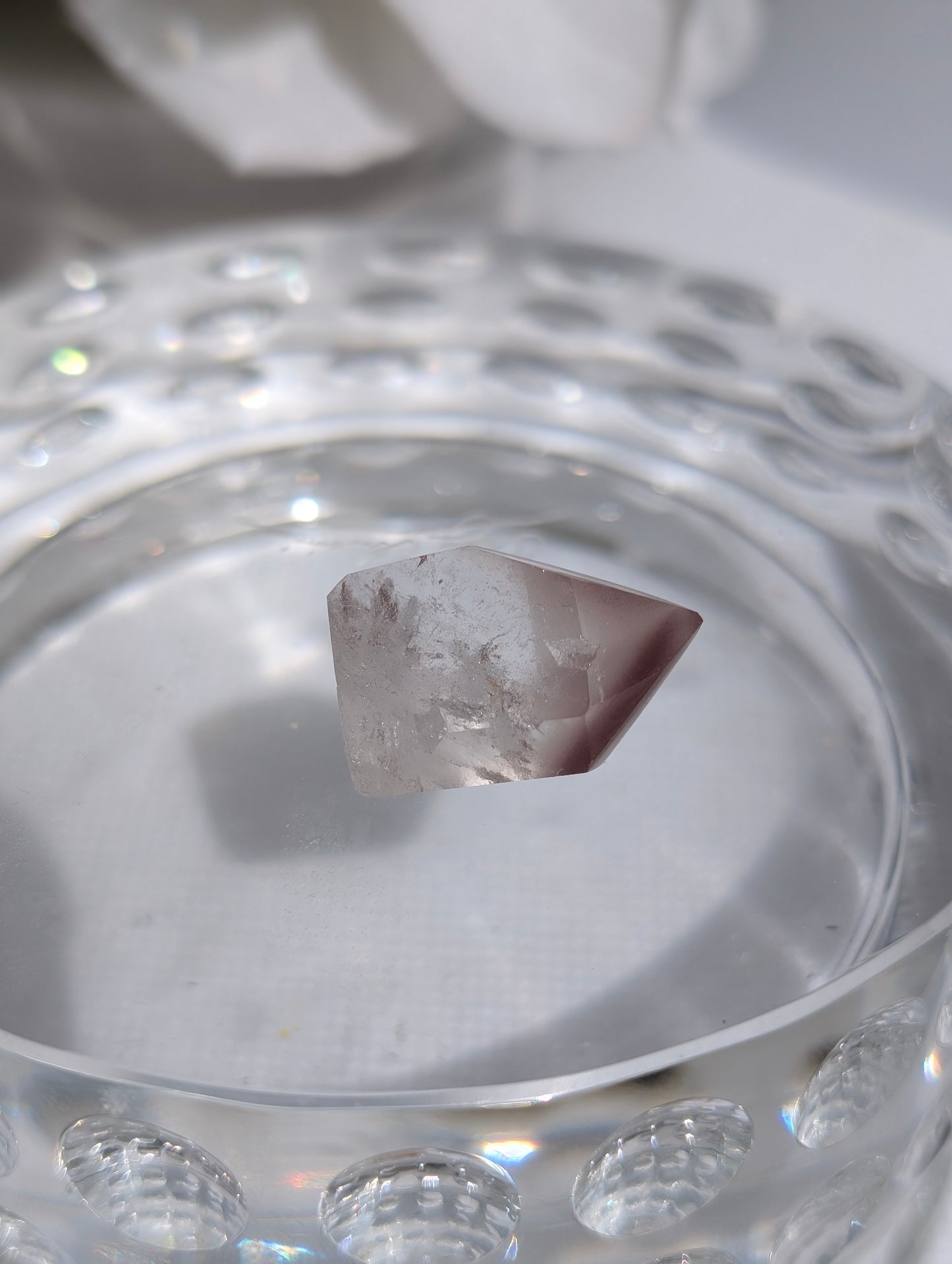 Berry Pink Lithium #11