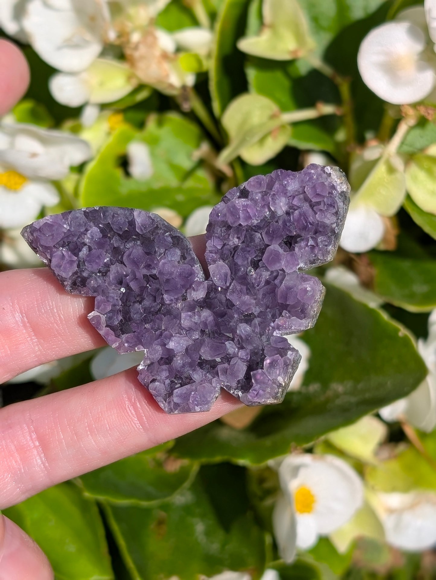 Butterfly Amethyst #2